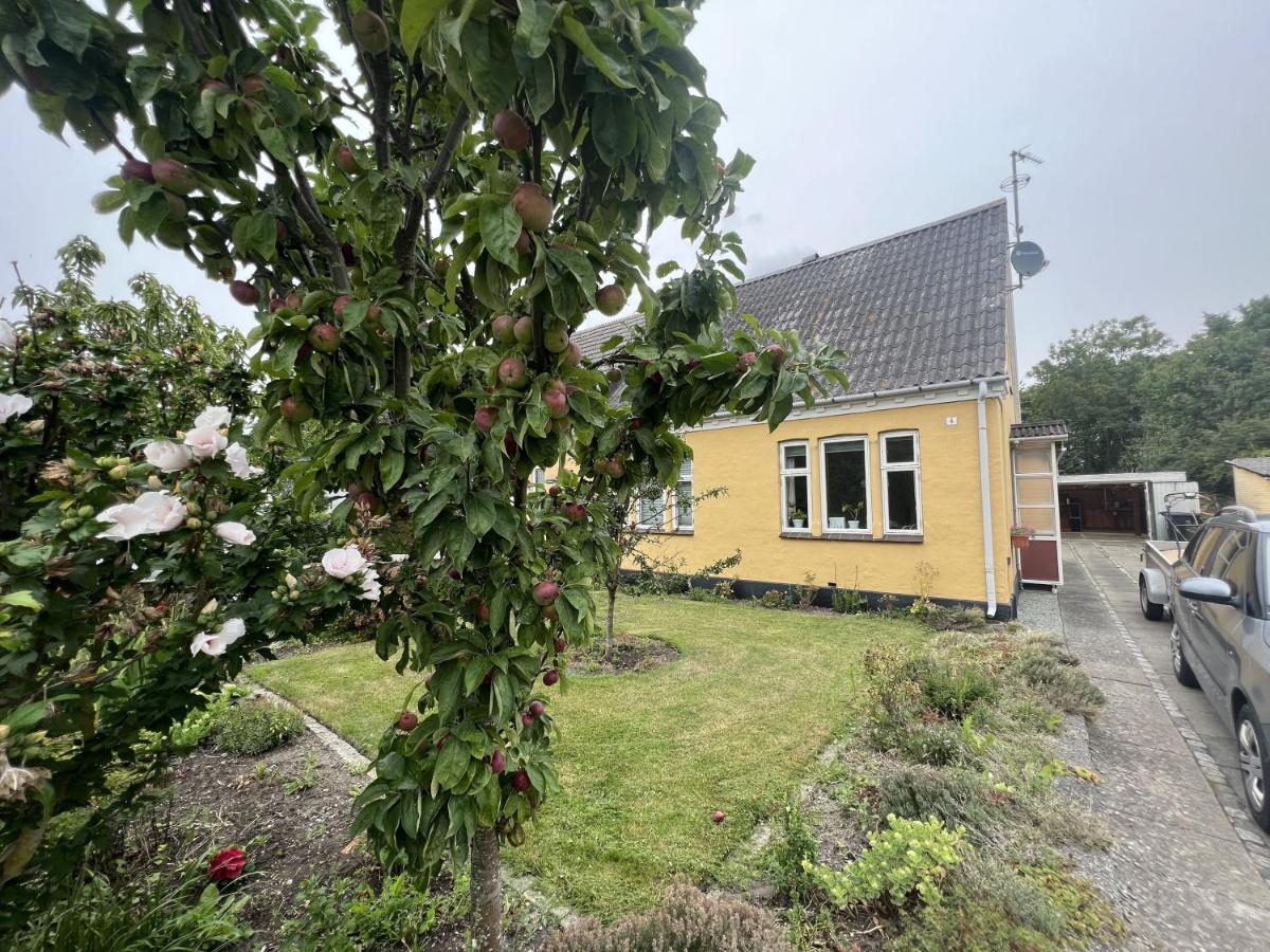 The Yellow House, 5mins Drive, 3br With Free Parking, Fast Fiber Internet